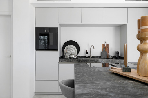 Modern kitchen