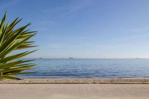 Beach in front of the door